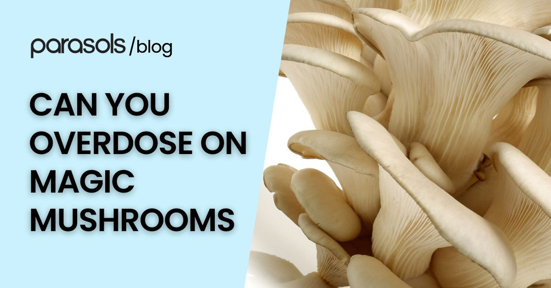 can you overdose on magic mushrooms featured image
