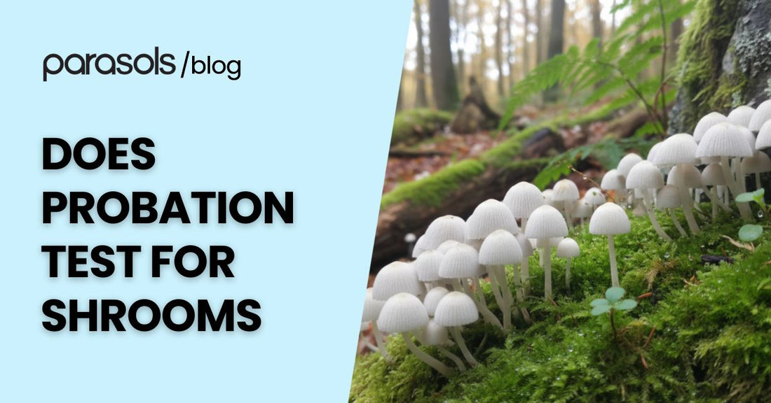Does probation test for shrooms featured blog image showing white mushrooms in a forest with bold text title about probation drug testing.