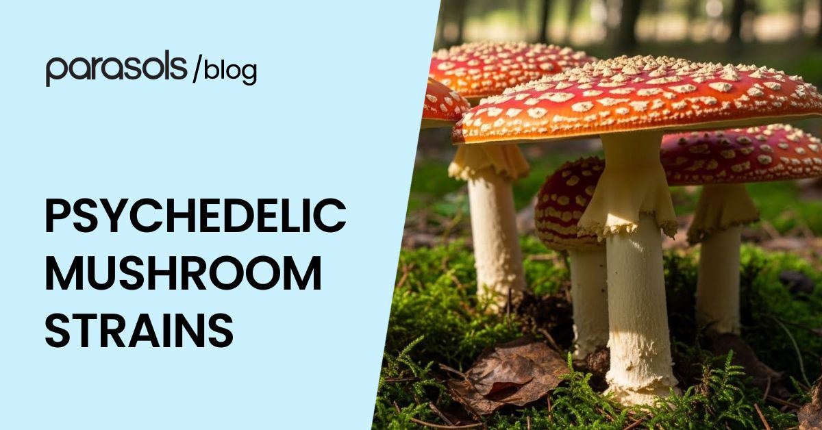 psychedelic mushroom strains featured image