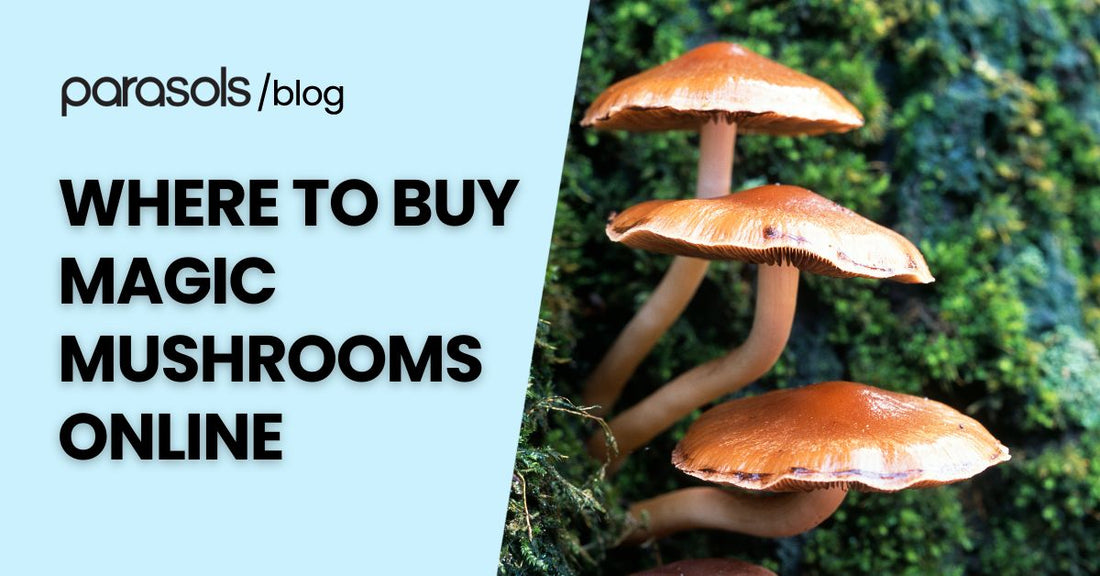 where to buy magic mushrooms online featured image