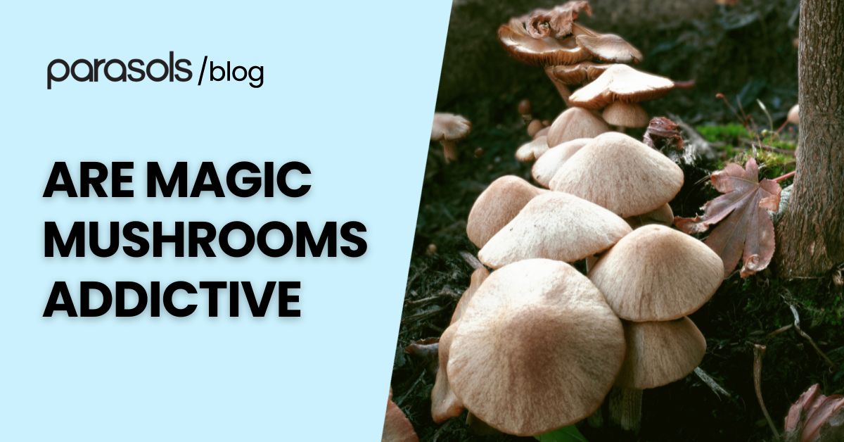 are magic mushrooms addictive featured image