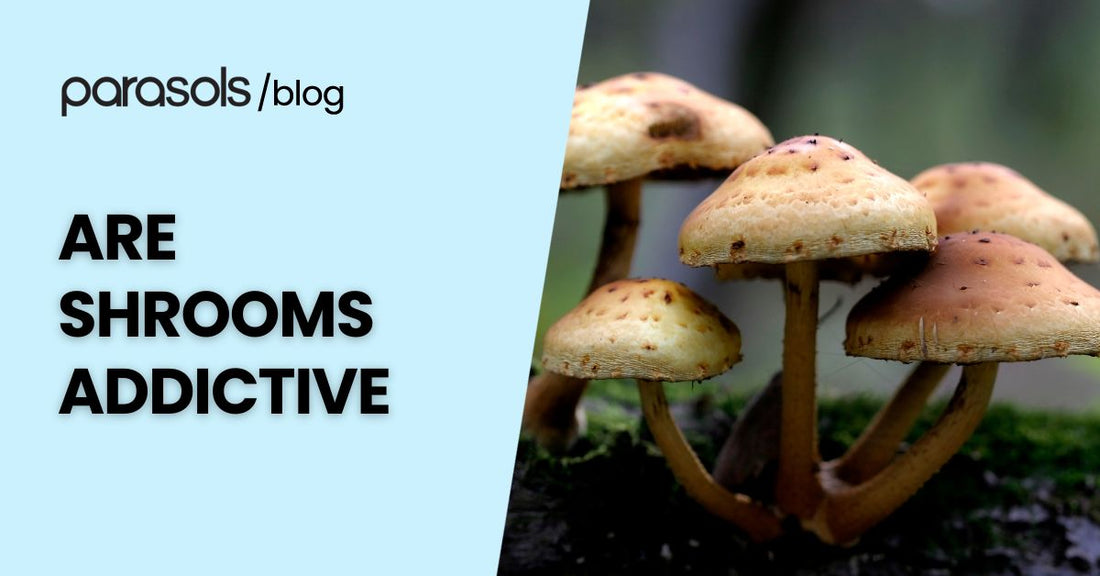 Are shrooms addictive – featured image with psilocybin mushrooms growing in nature, representing discussions on shroom risks, psychological dependence, and safe use