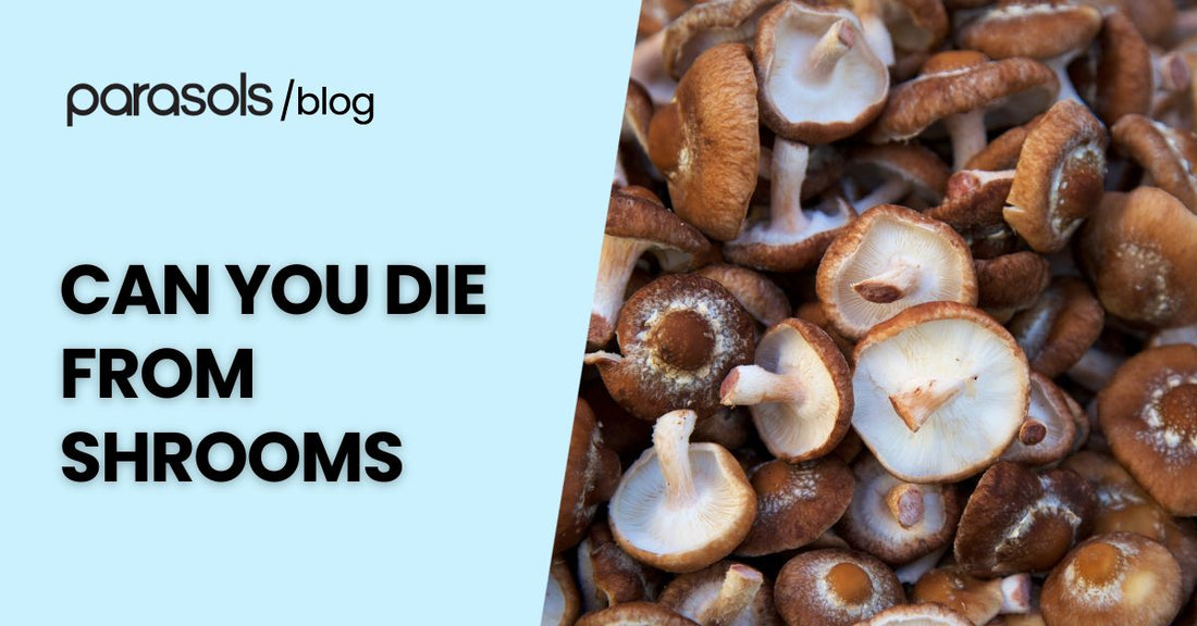 Can you die from shrooms – featured blog image with fresh mushrooms highlighting the risks and dangers of consuming magic mushrooms.