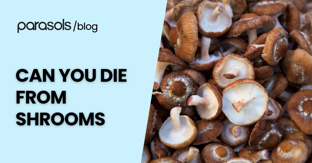 Can you die from shrooms – featured blog image with fresh mushrooms highlighting the risks and dangers of consuming magic mushrooms.