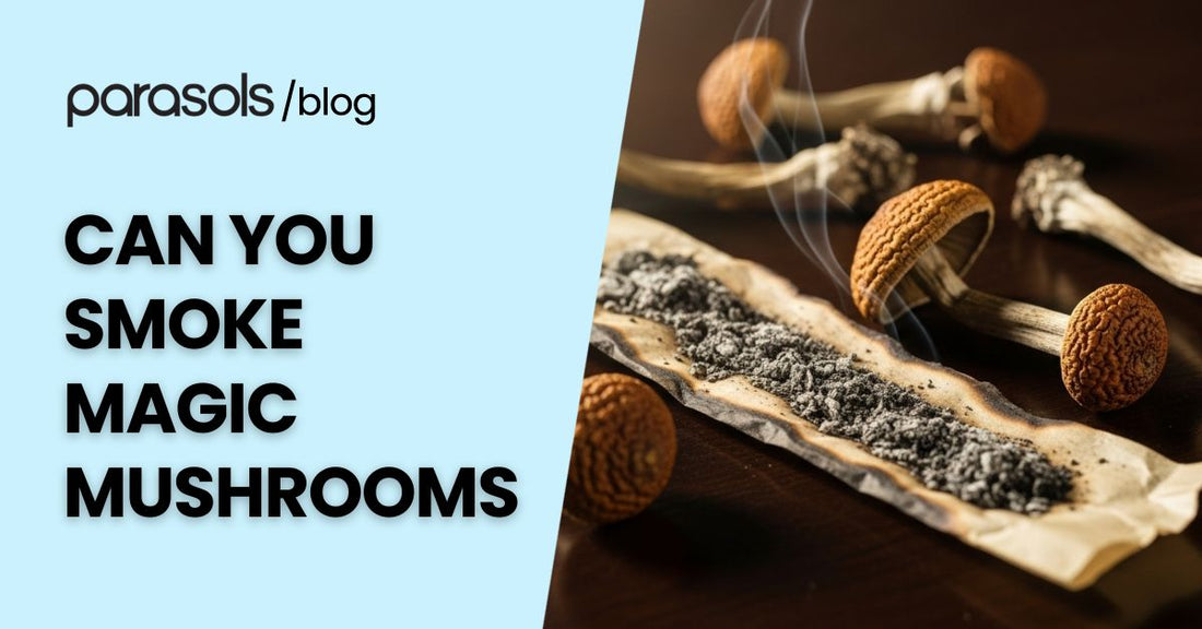 Burnt rolling paper with mushroom ash and dried mushrooms on a table, illustrating the question can you smoke magic mushrooms and its risks.