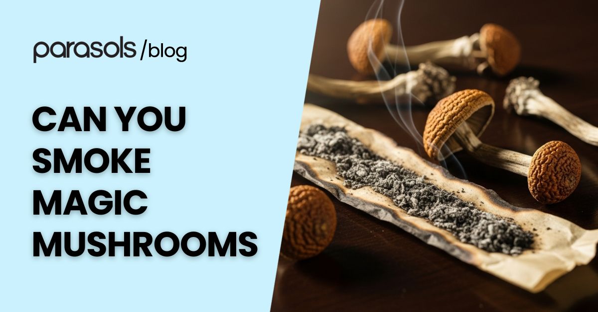 Burnt rolling paper with mushroom ash and dried mushrooms on a table, illustrating the question can you smoke magic mushrooms and its risks.