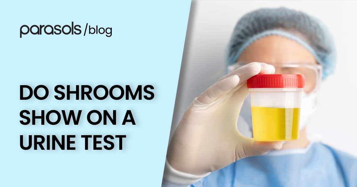 Do Shrooms Show Up on a Urine Test? Read This Before Taking