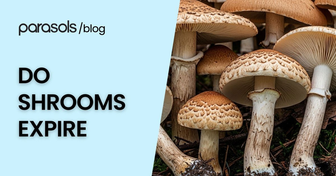 Do shrooms expire blog image showing fresh mushrooms in soil with text overlay about mushroom shelf life and storage