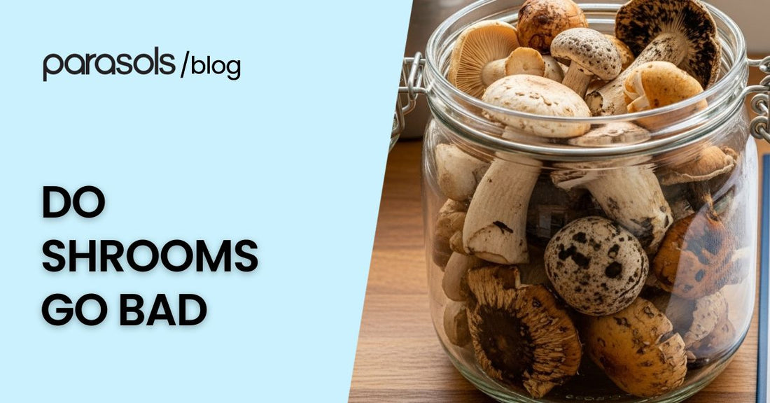 Do Shrooms Go Bad featured image