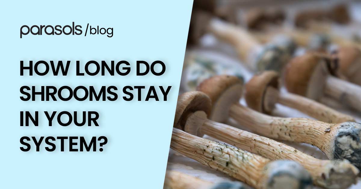 How Long Do Shrooms Stay in Your System?