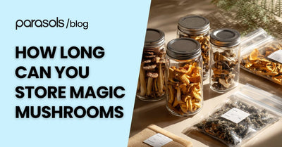 how long can you store magic mushrooms featured image