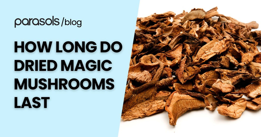how long do dried magic mushrooms last featured image