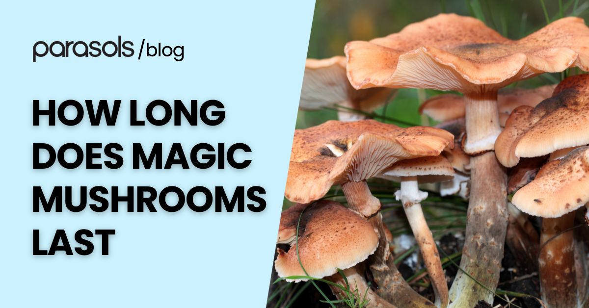 how long does magic mushrooms last featured image