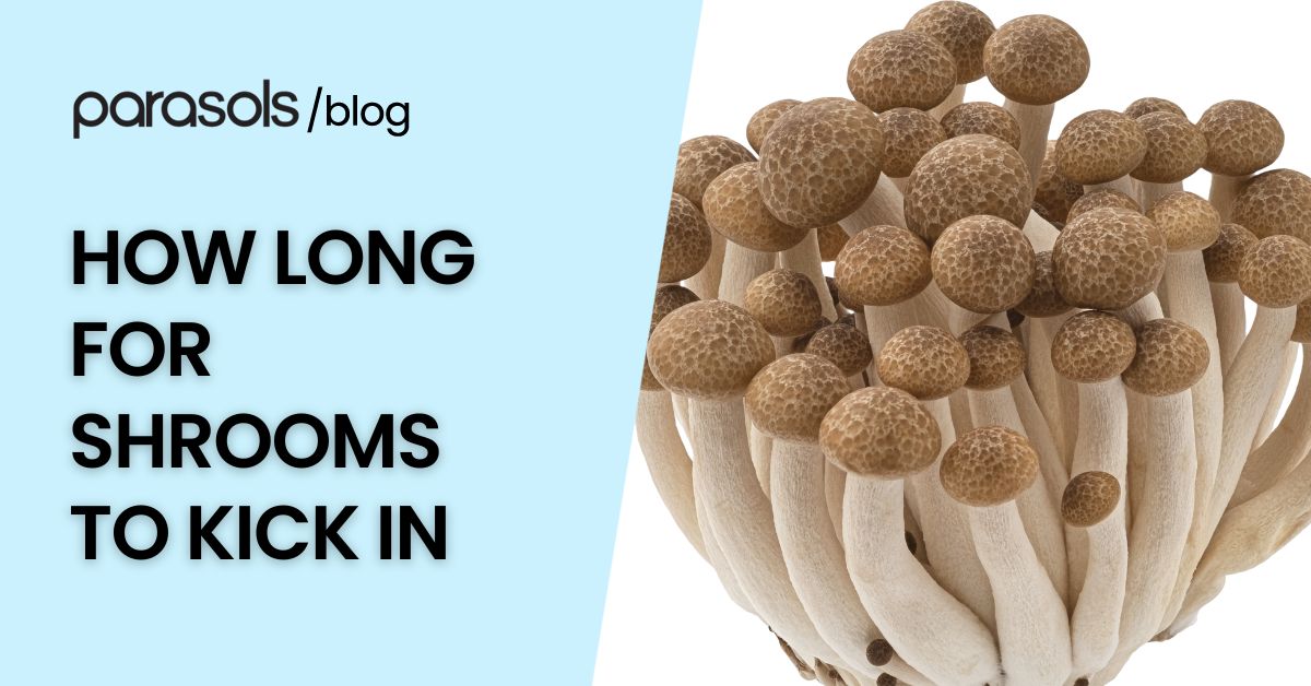 Blog featured image with mushrooms and the text how long for shrooms to kick in on a light blue background