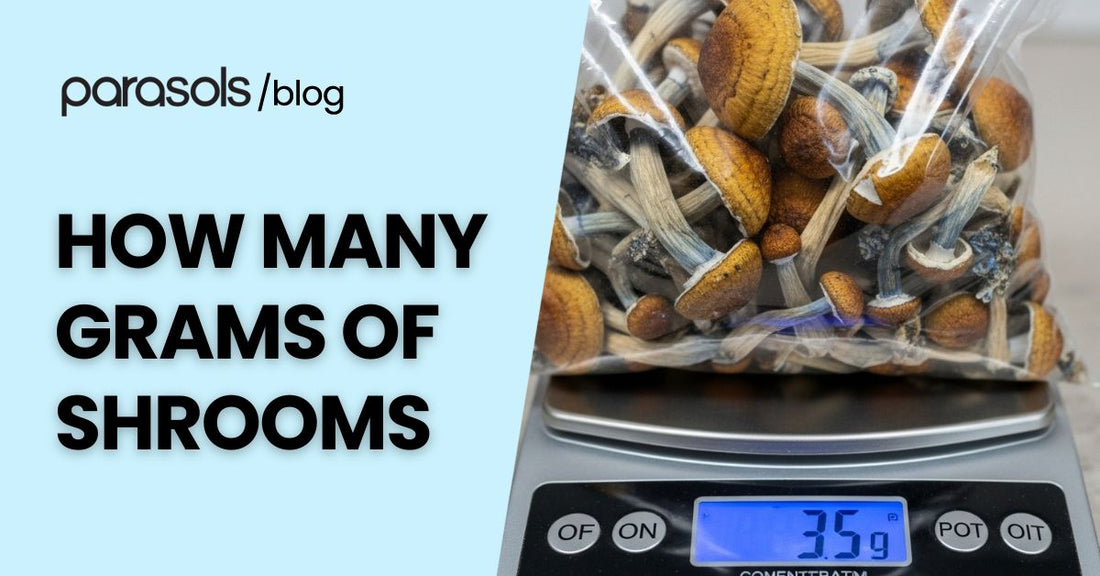 how many grams of shrooms featured image