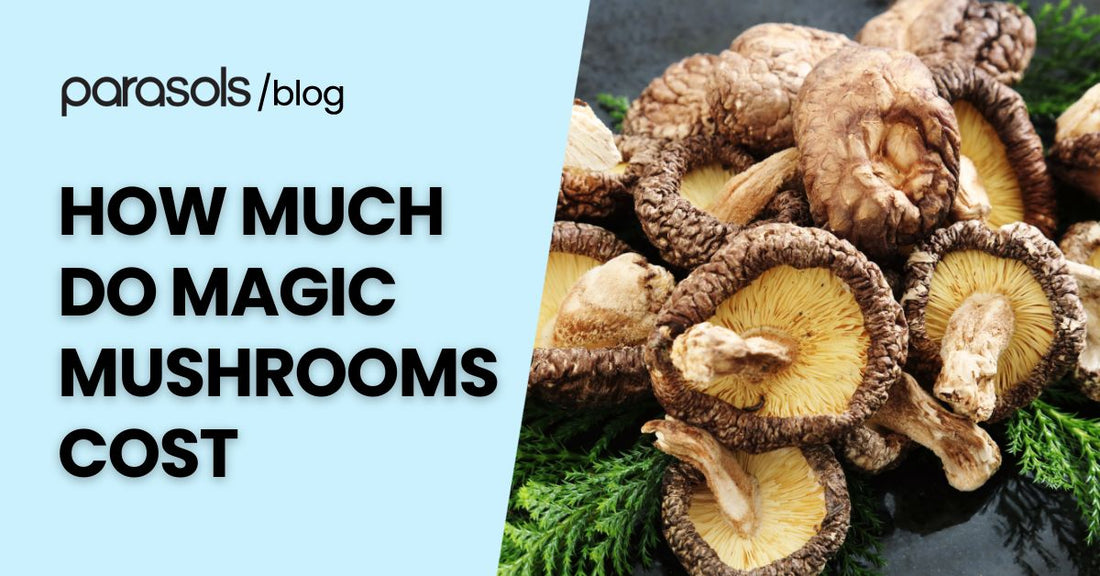 how much do magic mushrooms cost featured image