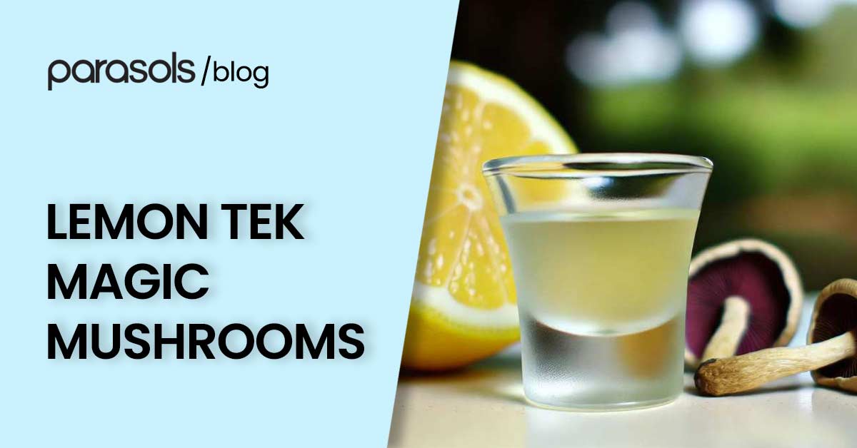 Lemon Tek Mushrooms: A Faster, Stronger Psychedelic Experience?