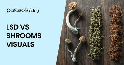 shrooms vs thc featured image