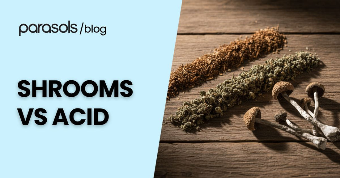 Shrooms vs acid comparison concept image showing magic mushrooms and natural herbs on a rustic wooden surface with bold text highlighting the topic.
