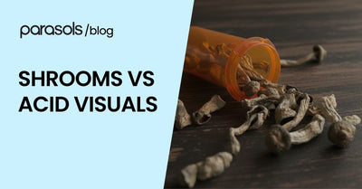 shrooms vs acid visuals featured image