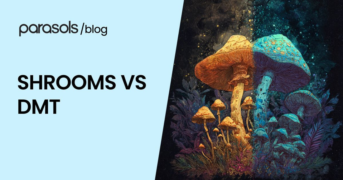 shrooms vs dmt featured image