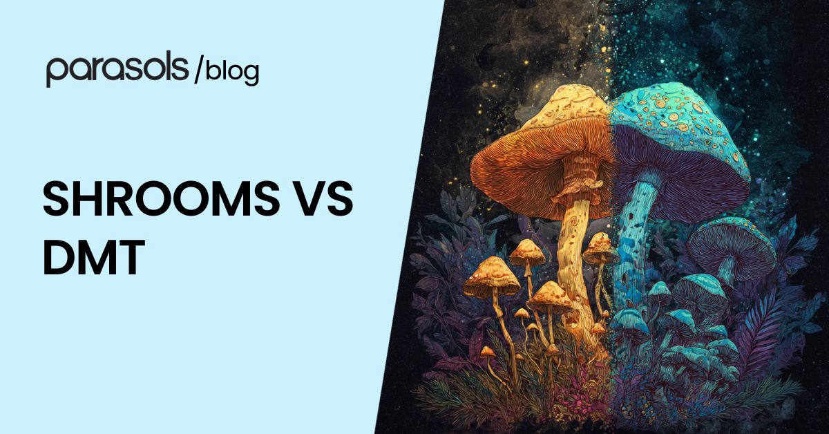 shrooms vs dmt featured image