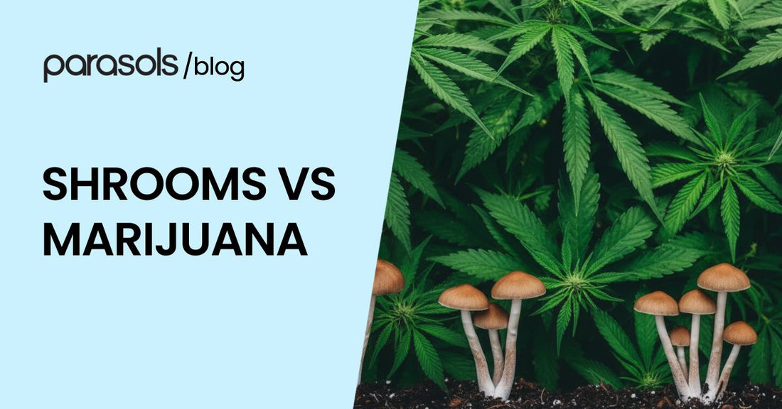 shrooms vs marijuana featured image