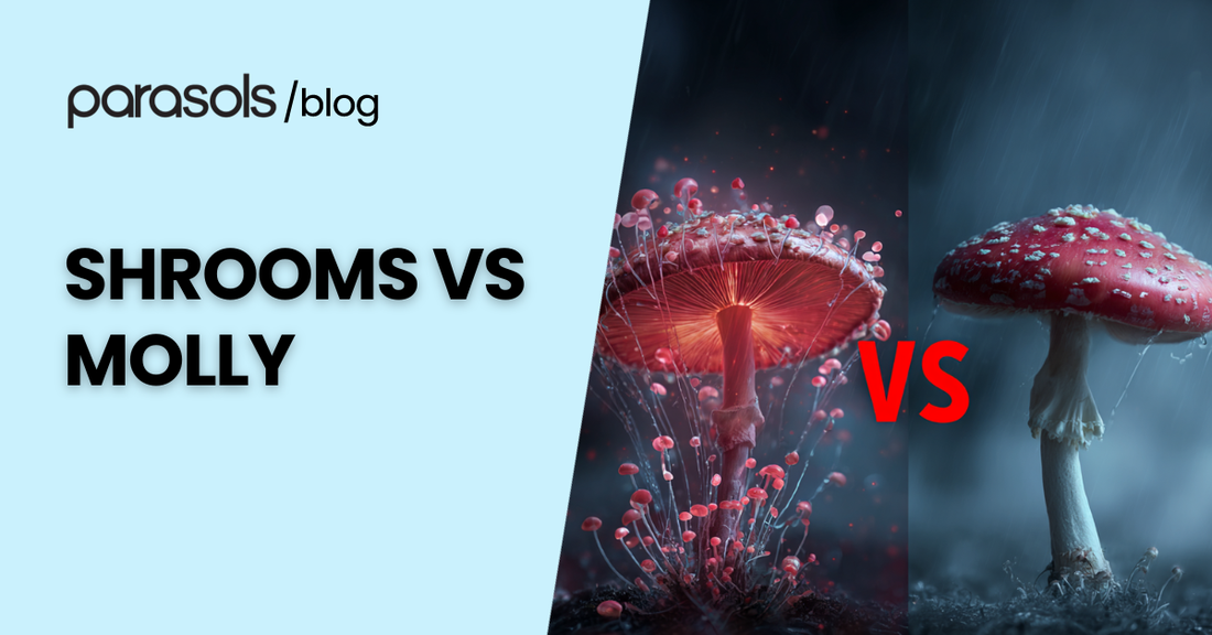 shrooms vs molly featured image