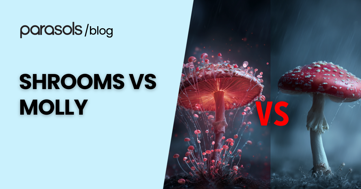 shrooms vs molly featured image