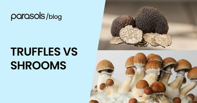 truffles vs shrooms featured image