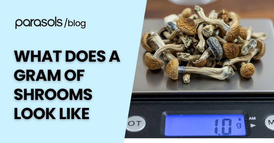 What does a gram of shrooms look like displayed on a digital scale with dried mushrooms weighing one gram