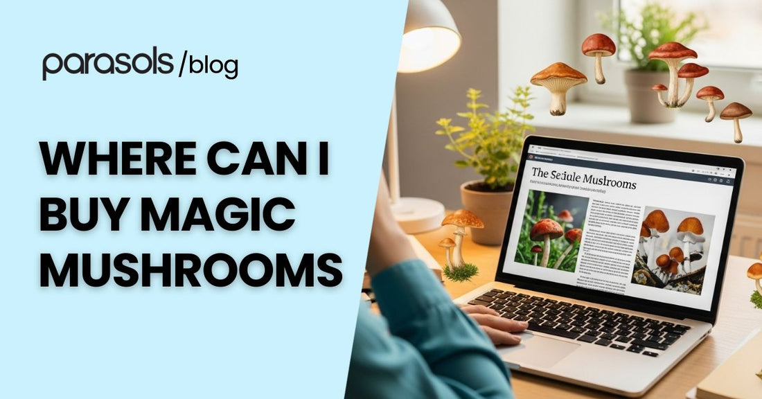 Curious person researching online about where can I buy magic mushrooms safely, exploring natural health and psychedelic wellness options.