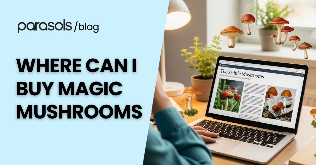 Curious person researching online about where can I buy magic mushrooms safely, exploring natural health and psychedelic wellness options.