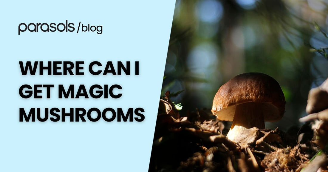 where can i get magic mushrooms featured image